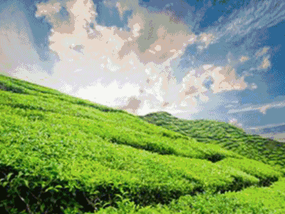 西行記 &middot; 森態(tài)石篇：圣德保森態(tài)石開創(chuàng)綠色建材新時代